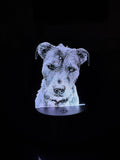 Custom Edge‑Lit Pet Portrait Lamp – Personalized LED Keepsake from Your Photo