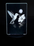 Edge‑Lit Acrylic Lamp – Hummingbird and Hibiscus