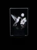 Edge‑Lit Acrylic Lamp – Hummingbird and Hibiscus